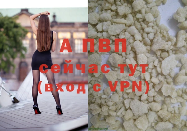 mdpv Богородск