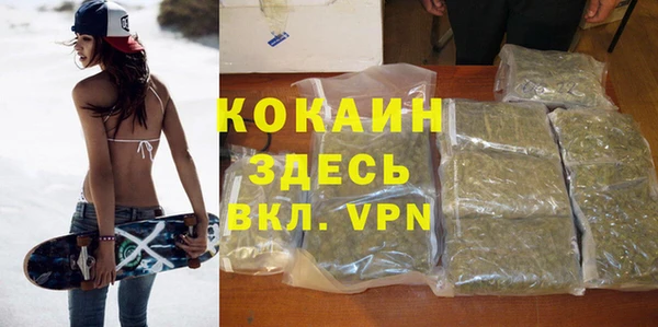 mdpv Богородск