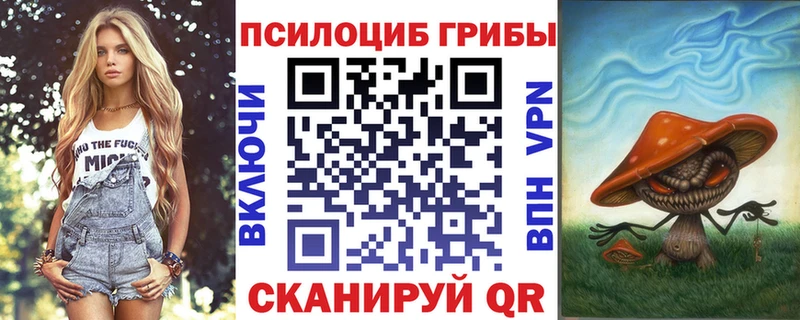 Псилоцибиновые грибы мицелий  Купино 