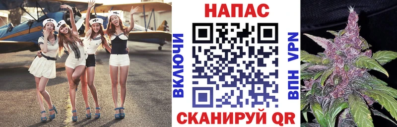 дарнет шоп  Купино  Канабис сатива 